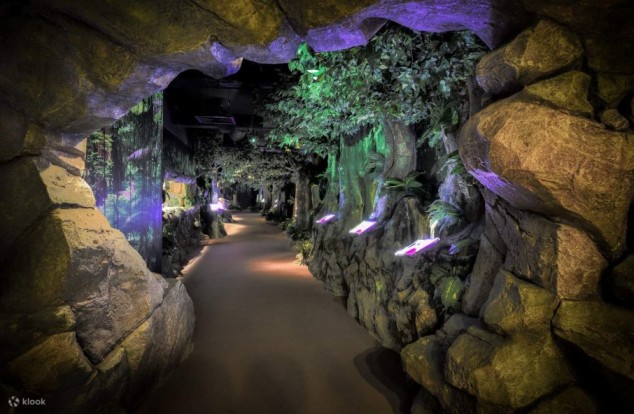 Top Big 5 Attraction